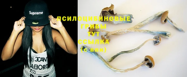 apvp Вязьма