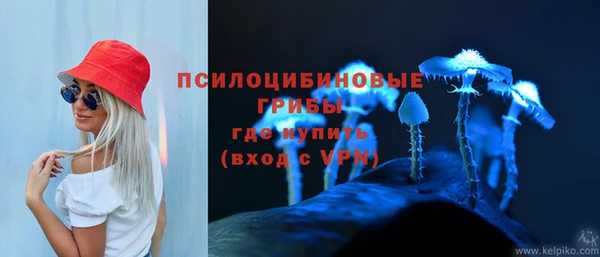 apvp Вязьма