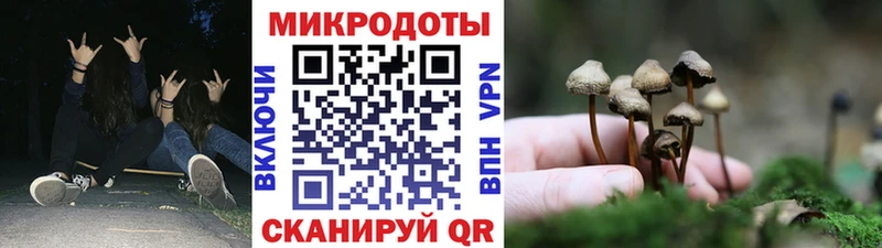 цена наркотик  Северская  Псилоцибиновые грибы ЛСД 